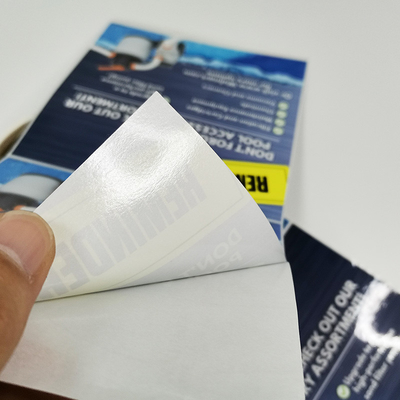 Matte Tahan Air Kustom Die Cut Stiker CMYK Printing Removable Adhesive Vinyl
